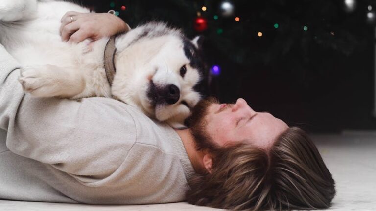 9 Ways Dogs Build a World That Revolves Around You