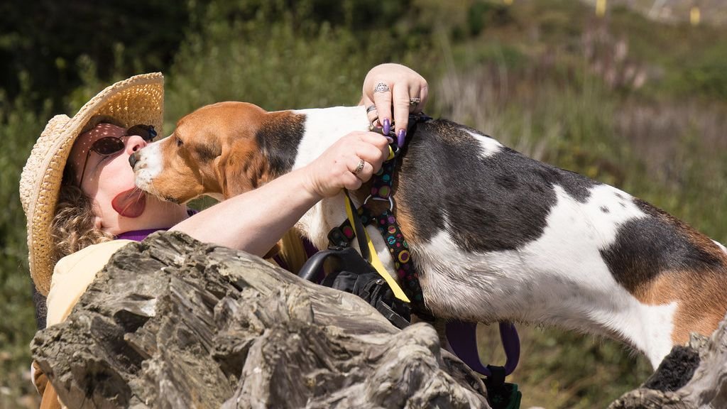 10 Moments When Dogs Realize You're Their Entire World