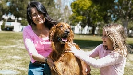 14 Ways Dogs Become the Emotional Center of a Household