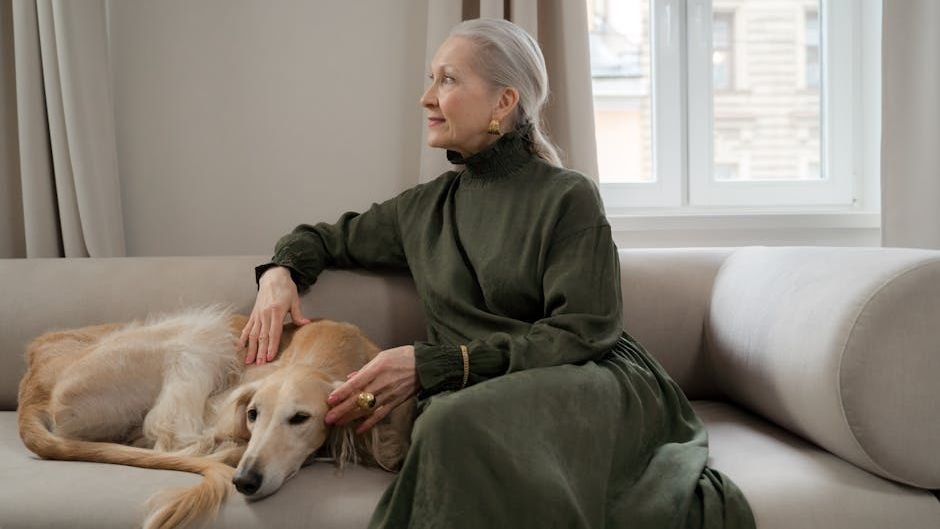 10 Reasons Senior Dogs Become the Most Devoted Companions