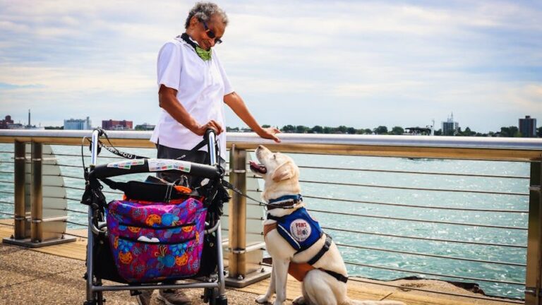 12 Gentle Ways Dogs Help Seniors Feel Needed Again