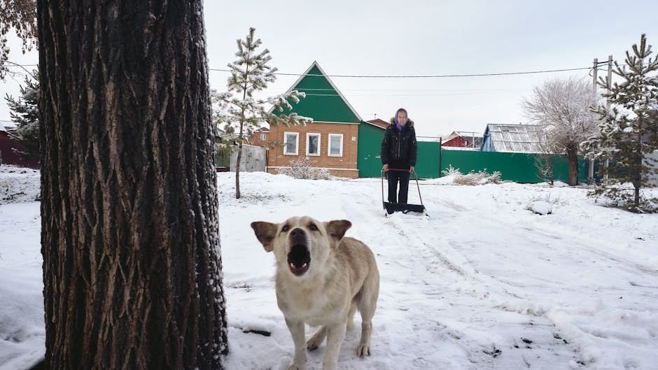 Your Dog's Barking Has a Purpose: Learn to Understand Their Calls