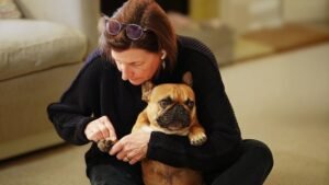 14 Dog Breeds That Are Exceptionally Easy to Groom (And 6 That Require Daily Work)