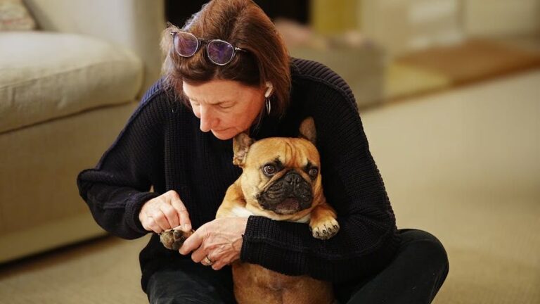 14 Dog Breeds That Are Exceptionally Easy to Groom (And 6 That Require Daily Work)