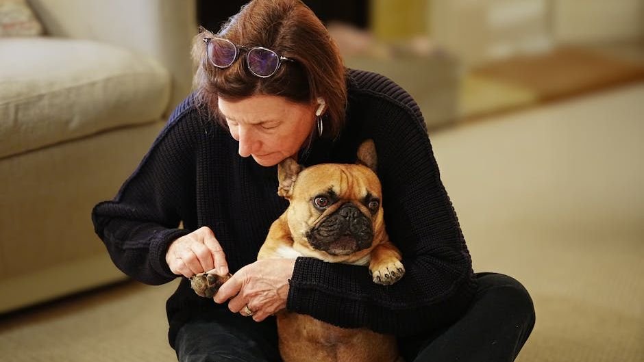 14 Dog Breeds That Are Exceptionally Easy to Groom (And 6 That Require Daily Work)