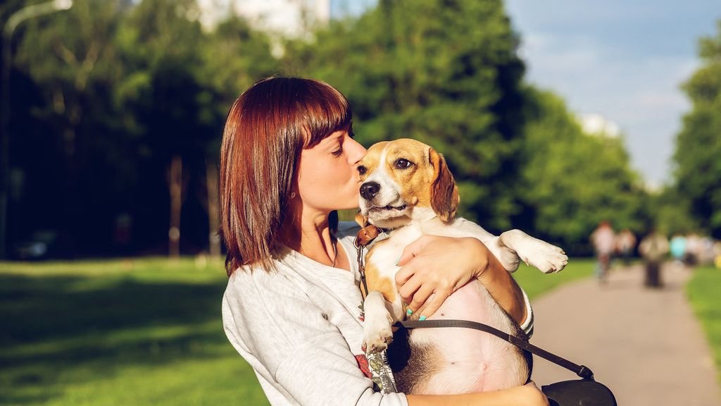 10 Dog Breeds That Are Natural Therapists (And 5 That Need Therapy)