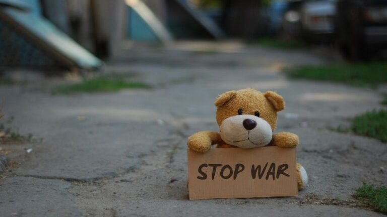 Castana the Miracle Dog: From Lebanese Missile Strike Survivor to Beloved Teddy Bear
