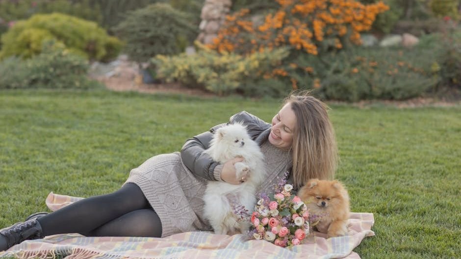 12 Dog Breeds That Are Perfect for Senior Owners (And 8 That Are Too Energetic)