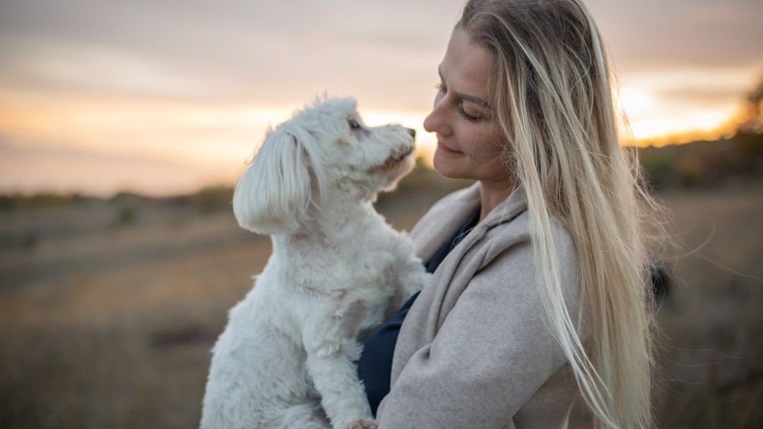 Dogs Mirror Our Energy: How Your Calmness Affects Their Behavior