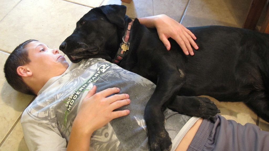 The Amazing Ways Your Dog Communicates Their Deepest Affection to You