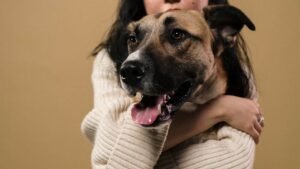 Your Dog's Heartbeat Syncs With Yours: The Science of Canine Connection