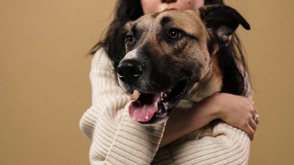 Your Dog's Heartbeat Syncs With Yours: The Science of Canine Connection
