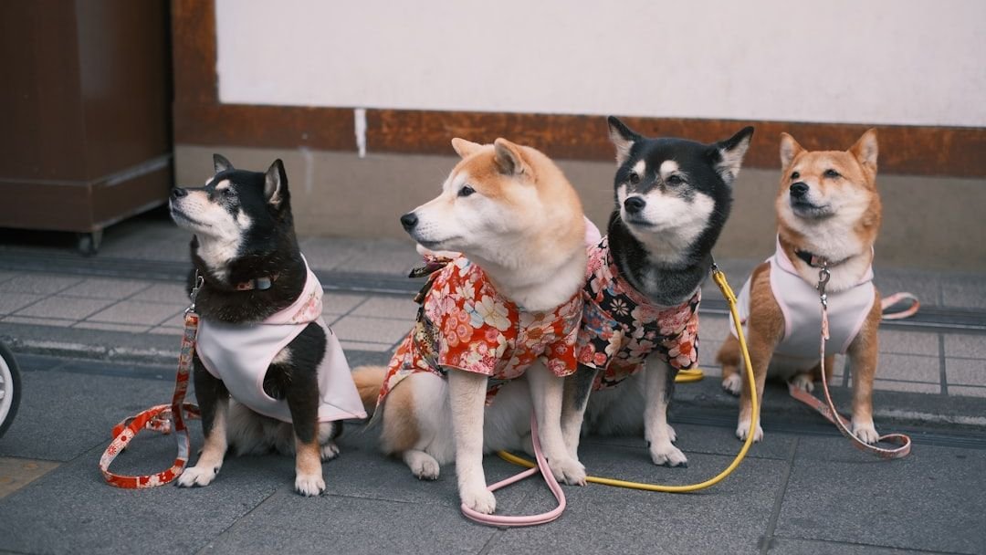 Aries Dog, Leo Owner? The Ultimate Zodiac Pairings for Unbreakable Bonds