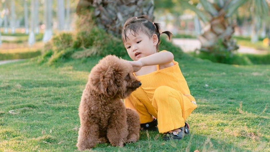 9 Reasons Why Owning a Dog is The Best Decision You'll Ever Make