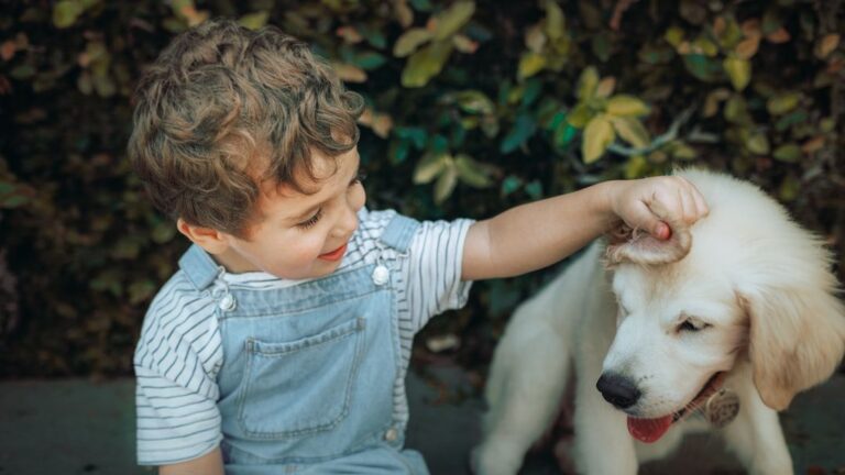 What Makes a Dog's Love So Profound