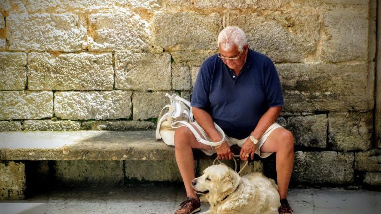 10 Dog Breeds Big and Small That Will Bring a Sense of Purpose in Retirement