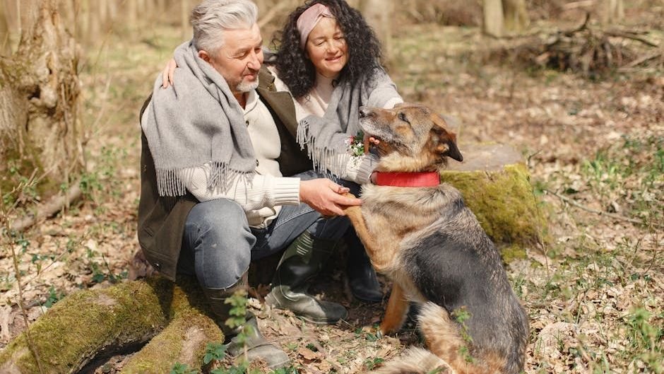 Could Your Senior Dog's New Habits Be a Secret Language of Love?