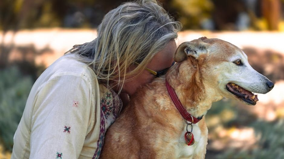 Your Dog's Silent Stares Are Actually Powerful Hugs for Your Soul