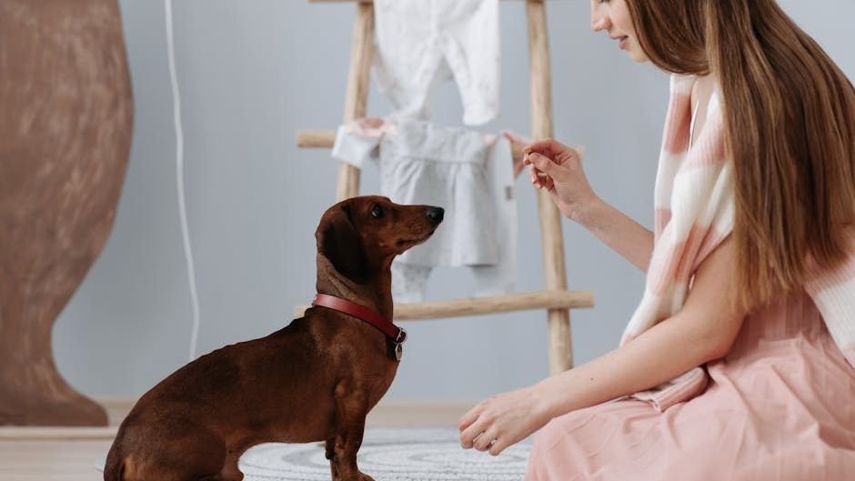6 Common Mistakes That Can Damage Your Relationship With Your Dog