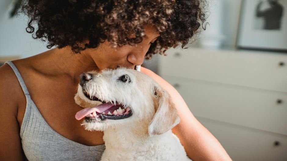 7 Heartwarming Ways Your Senior Dog Still Shows You They Care Deeply