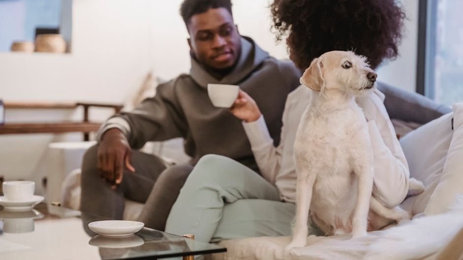 Which Dog Breeds Are Best for First-Time Owners? (And Which to Avoid)