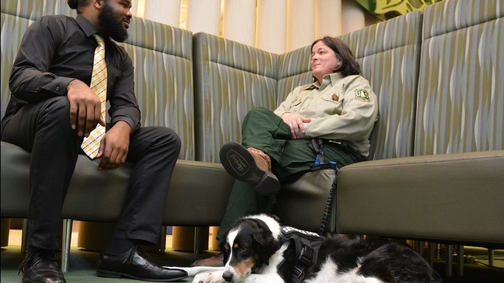 Your Dog's Odd Obsession With Your Feet is a Sign of Undying Devotion