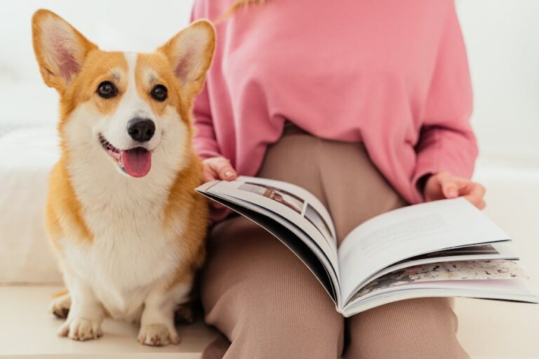 Vogue Is Suing a Dog Fashion Magazine. Guess What It's Called.