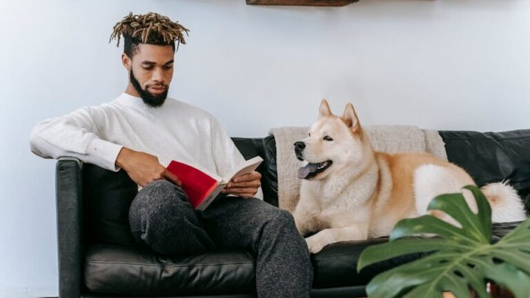 6 Reasons Why Your Dog Stares at You Constantly (It's Not Always for Food!)