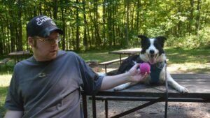 10 Dog Breeds That Understand Your Quiet Moments Best