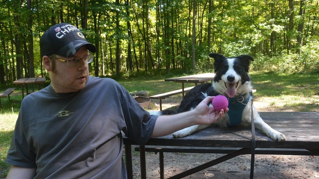 10 Dog Breeds That Understand Your Quiet Moments Best