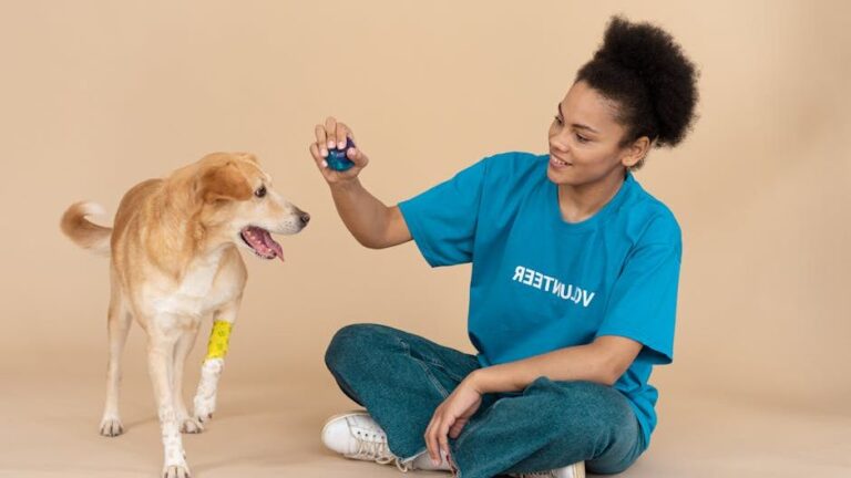 7 Common Misconceptions About Rescue Dogs Debunked by Experts