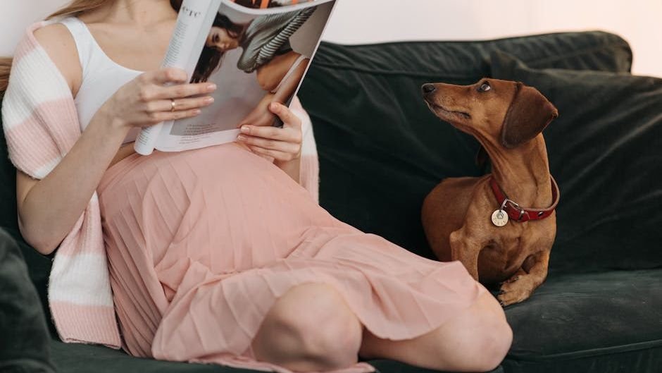 12 Surprising Things Your Dog Can Sense About You and Your Environment