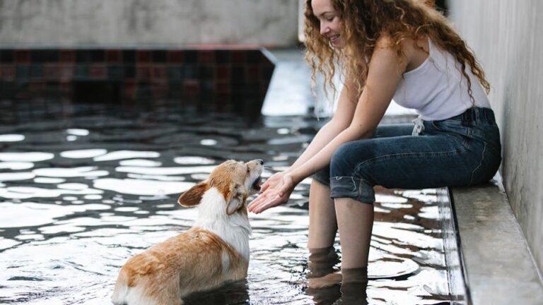 12 Signs Your Dog Trusts You Enough to Show Their Vulnerable Side