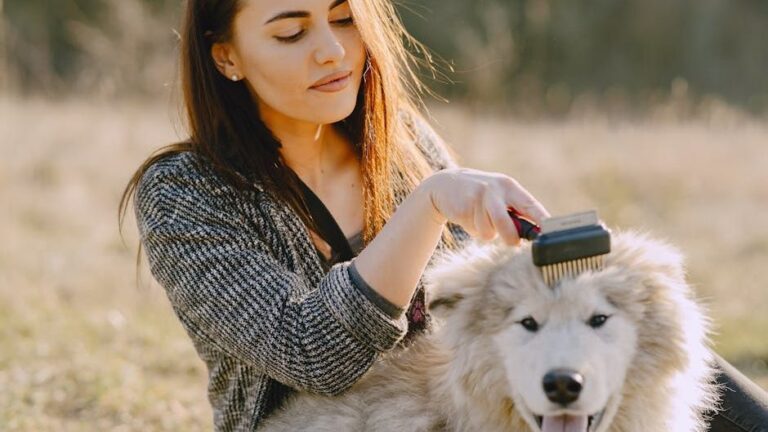 7 Simple Tricks to Make Your Dog Love Their Dental Routine