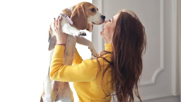 12 Heartwarming Signs Your Dog Considers You Their Entire World