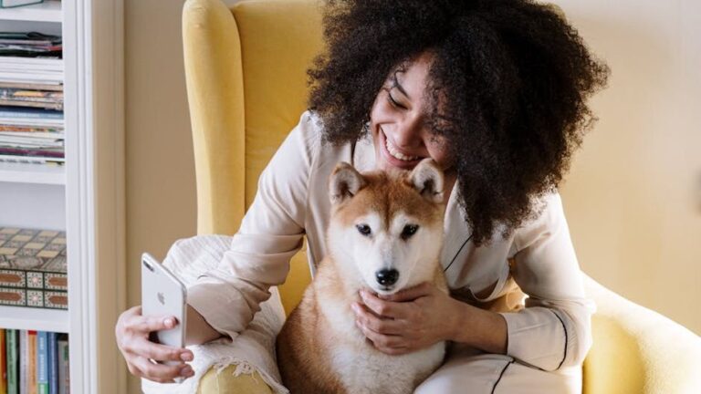 Beyond the Rainbow Bridge: A Guide to Pet Memorial Month March 2026
