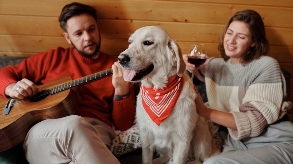 11 Ways to Create a More Calming Environment for Your Anxious Dog