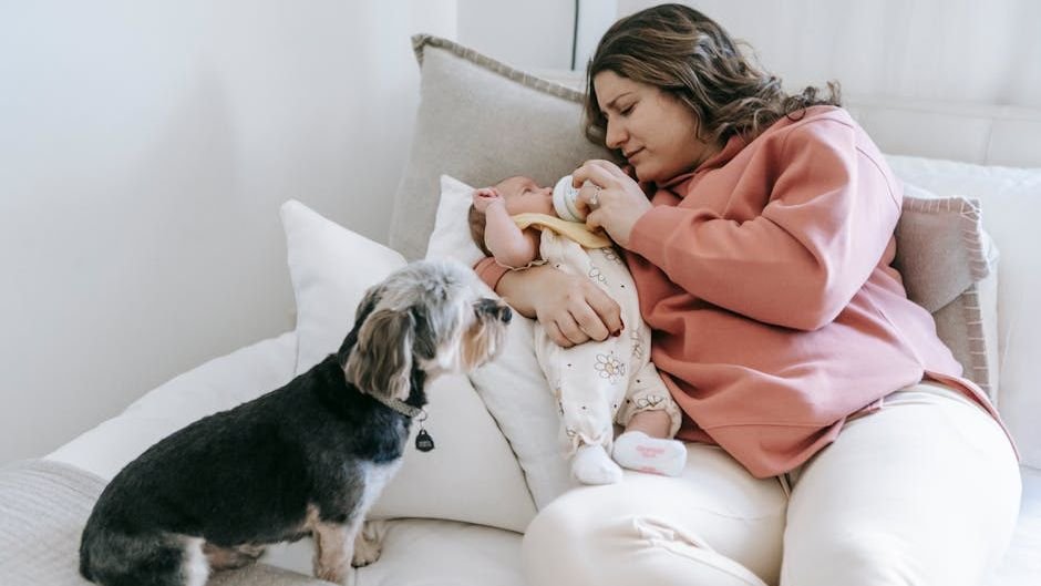 10 Secret Signs Your Dog Is Jealous of Your Baby