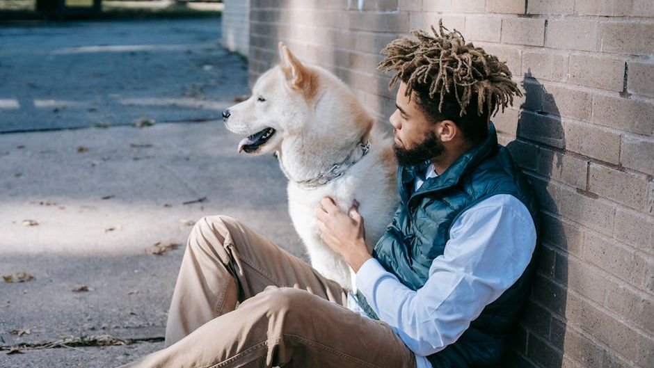 15 Ways Dogs Try to Stay Close Before Reaching the Rainbow Bridge