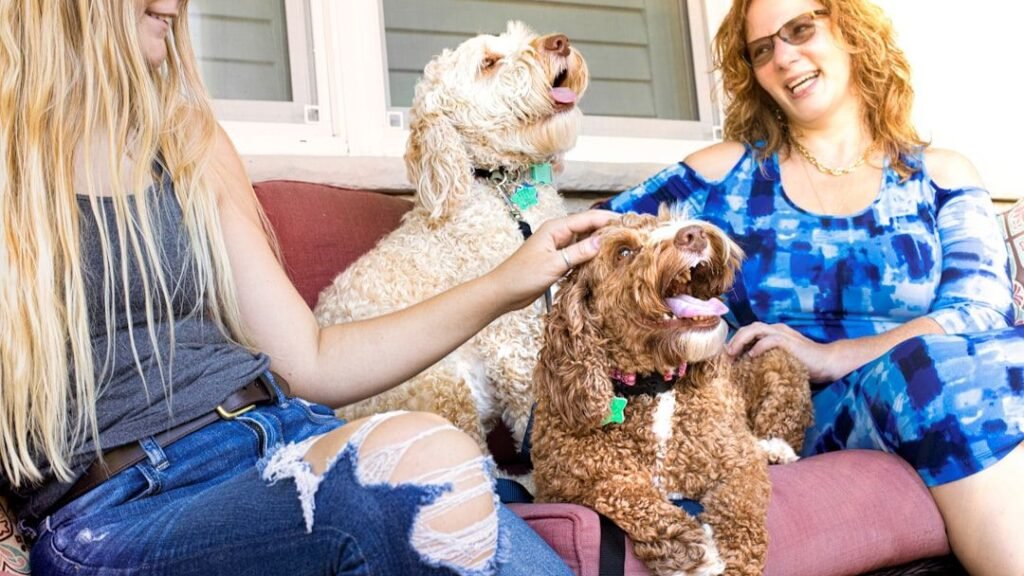 15 Things Your Dog Does for You Every Day That You Might Never Notice