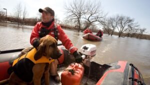 Devastating Floods Sweep Through Oʻahu, Triggering Urgent Rescue Efforts For Families & Animals