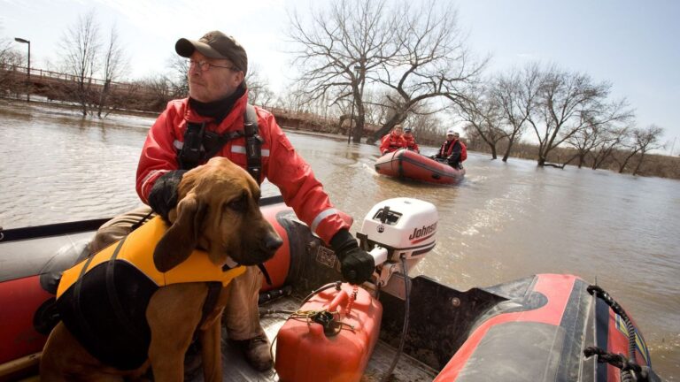 Devastating Floods Sweep Through Oʻahu, Triggering Urgent Rescue Efforts For Families & Animals