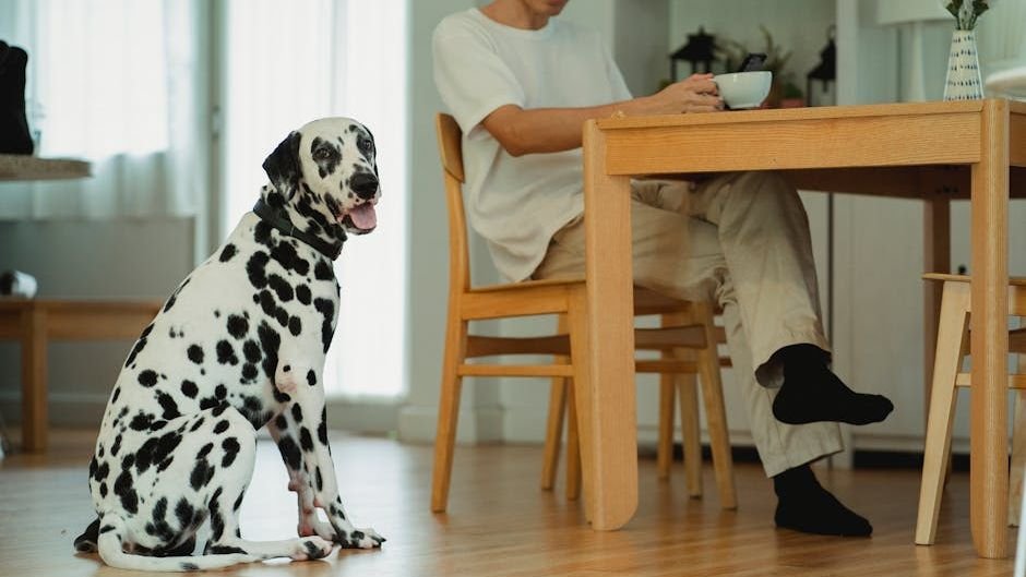 Why Your Dog Stares at You While Eating: It's Not Just About the Food