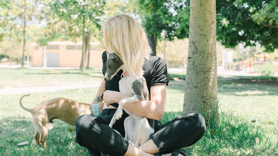 12 Dog Breeds That Are Perfect Lap Warmers for Cozy Evenings