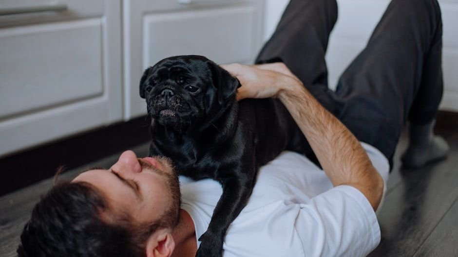 10 Dog Breeds That Are Born Cuddlers (And 5 That Prefer Their Space)