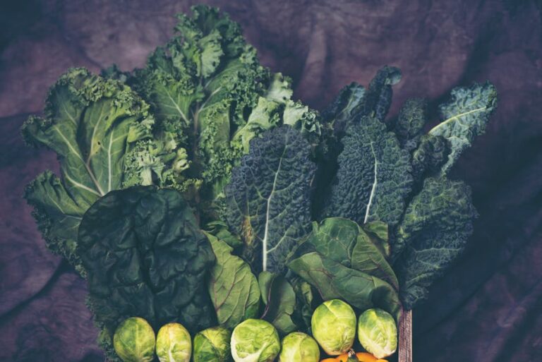Can Dogs Eat Collard Greens? Benefits, Risks, and the Safest Way to Serve Them