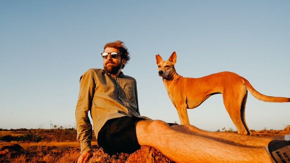 12 Dog Breeds That Are Exceptionally Easy to Groom (And 3 That Need a Pro)