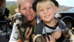 What's The Best Way To Prevent Your Dog From Being Lost Forever?