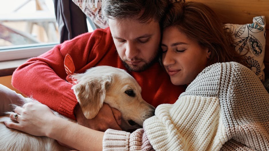 8 Dog Breeds That Are Natural Born Cuddlers (Perfect Companions for Cozy Nights)