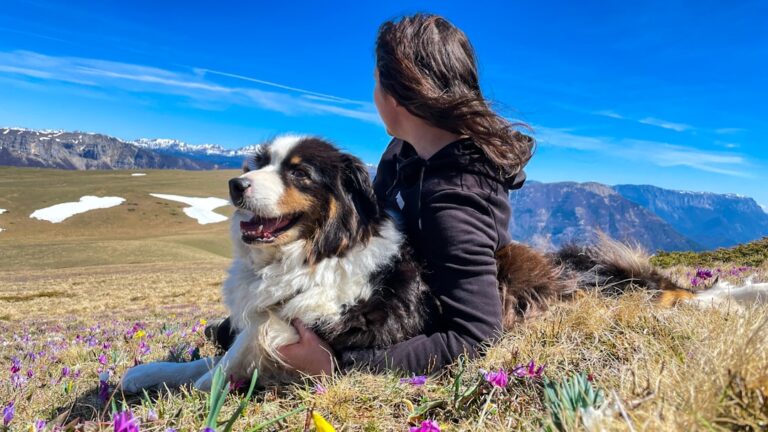 12 Dog Breeds That Are Excellent Listeners and Offer Silent Comfort